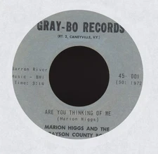 Marion Higgs & Grayson County Boys - Are You Thinking Of Me GRAY BO Bluegrass 45