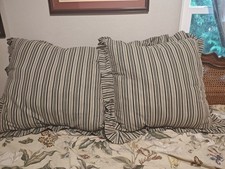 Colonial Williamsburg Vintage "Garden Images" Pillow Shams 30x30 Cotton