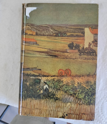 Lust for Life by Irving Stone Hardcover Illustrated Reprint 1934