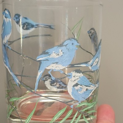 Cera Wildlife Bluebird Painted Juice Glass Set Decorated Barware 4-Piece