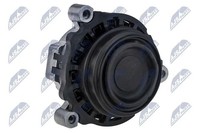 Original NTY Lagerung Motor ZPS-BM-027 FüR BMW