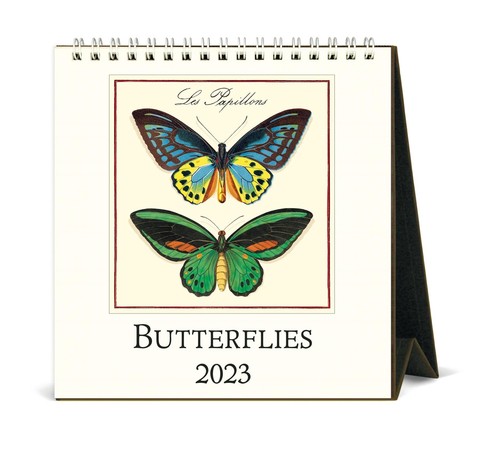 Cavallini Desk Calendar 2023 15 2x16 5cm Butterflies moths EBay