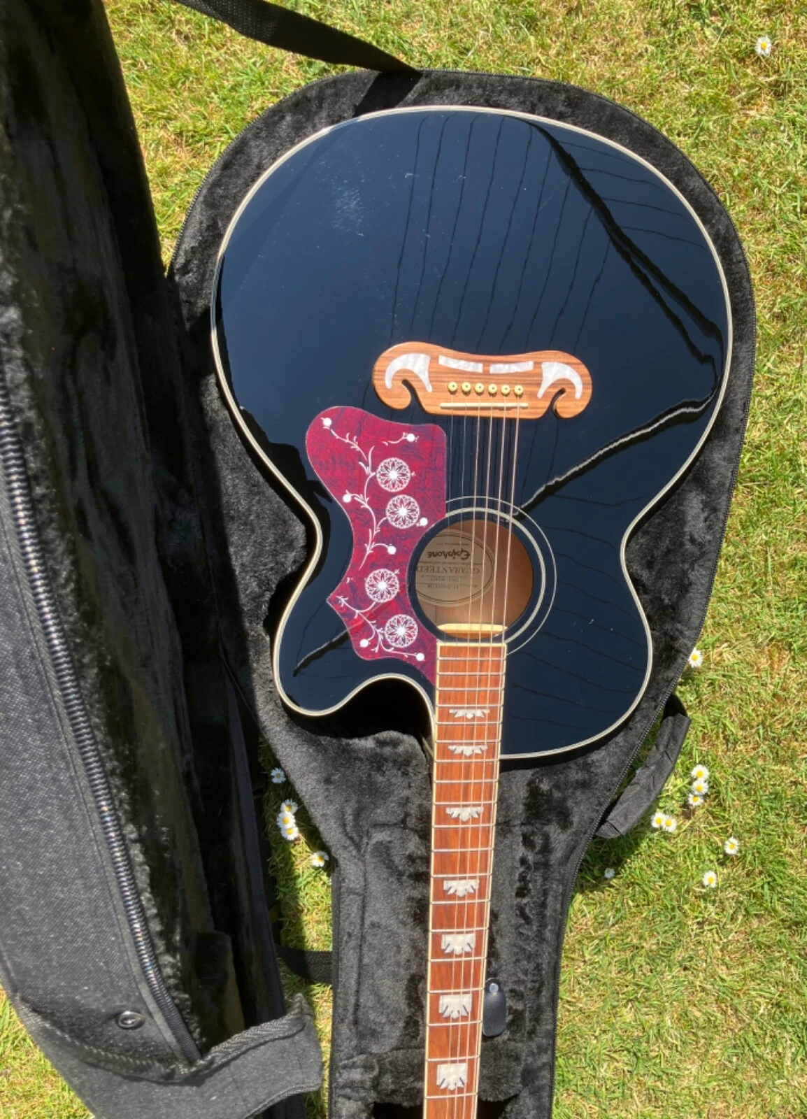 Picture 6 of 19