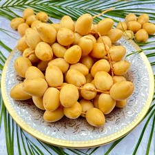 7 LBS FRESH YELLOW BARHI DATES