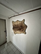 3x Wildschweinfell Fell - Schwarte, Decke, Wanddeko 80er Jahre