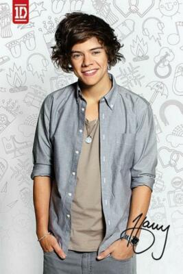 One Direction: Harry Icons - Maxi Poster 61 x 91,5 cm neu und versiegelt