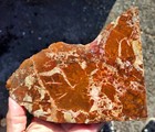 rawk11: Brecciated Jasper slab-Orange/Red/White Brecciated Patterns-California — photo 3