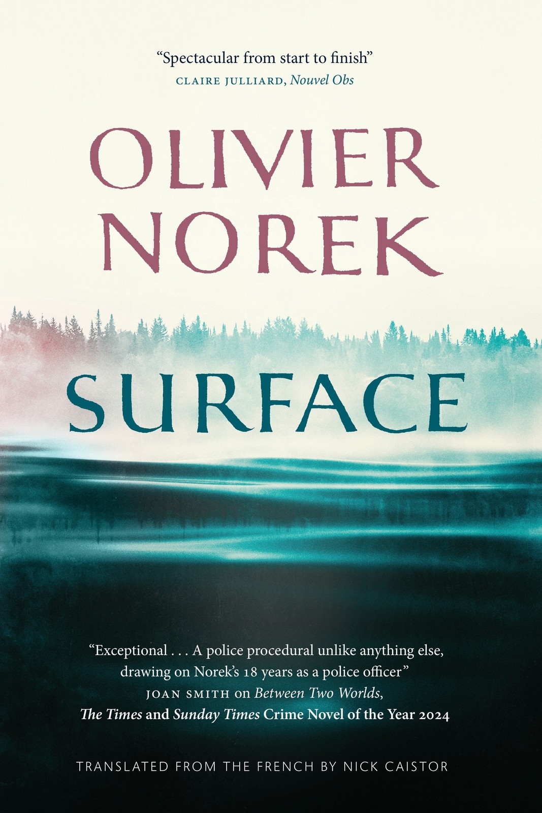 Surface Olivier Norek - Image 4