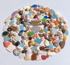 Genuine Surf Tumbled sea glass  Okinawa shell mix from japan tiny to small