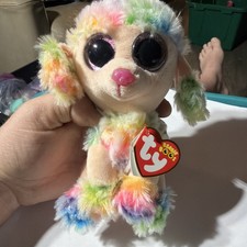 Ty Beanie Boos RAINBOW the Poodle Dog Beanie Boo Plush Stuffed Animal 6" Toy