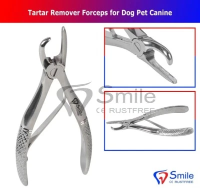 NEW Tartar Forcep Calculus Remover Tooth Scraper 4.5" CE BRITISH BRAND SHANZI