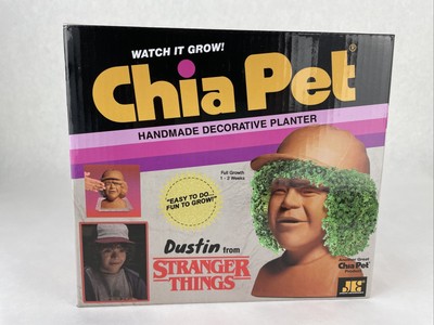 dustin chia pet