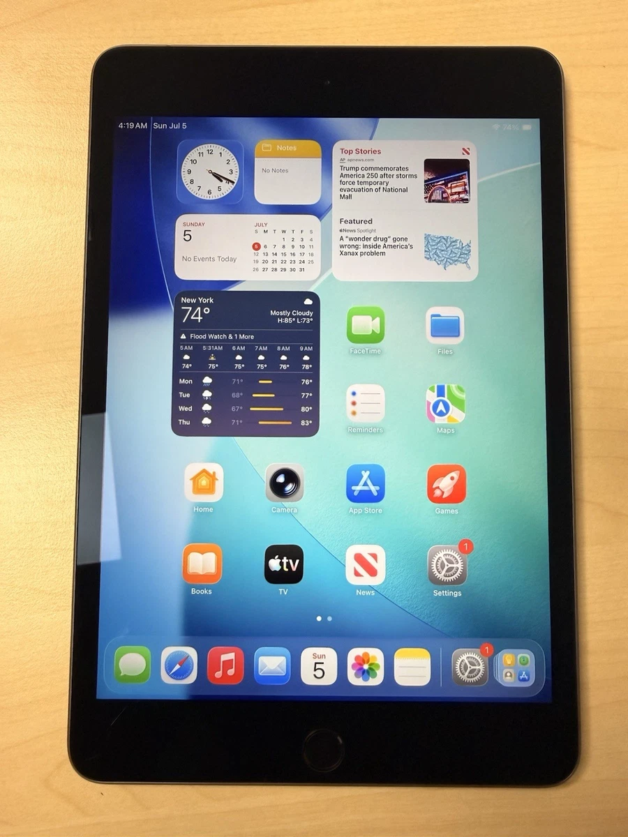 Apple iPad Mini (5th Generation) 256GB for sale - eBay