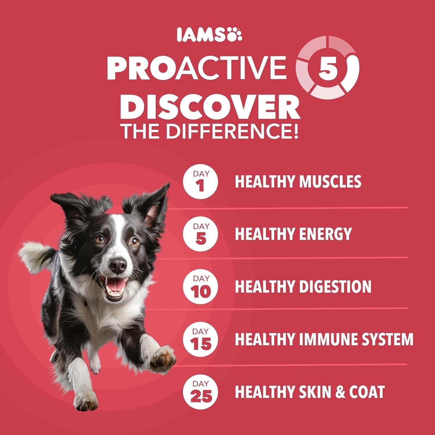 IAMS Minichunks Lamb & Rice Adult Dry Dog Food - 30 lb (10171580)