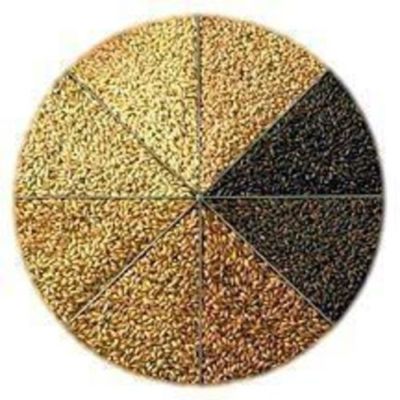 WHITE WHEAT MALT Homebrew Beer Grain Malt Choose Unmilled / Crushed Per Pound