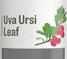 UVA URSI LEAF aka Bearberry - Urinary Tract Support Herbal Tincture USA