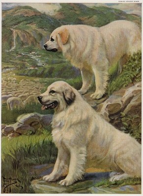 Great Pyrenees ''Protection Duo'' - CUSTOM MATTED - Vintage Color Dog Art Print