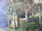 Foto 14 di 17