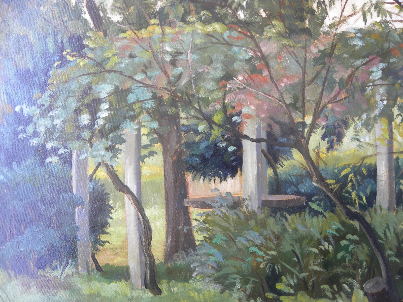 Foto 14 di 17