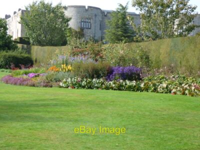 Foto 6x4 Krautige Bordüre Bronygarth Die Hecke hinter dem Blumenbeet I c2016