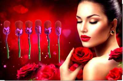 Rosé Luxe Brush Set   6pcs Beauty Blooms''