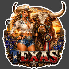 Texas Sticker Vinyl Decal Cowgirl Longhorn Bull Ranch Sunset Western Country
