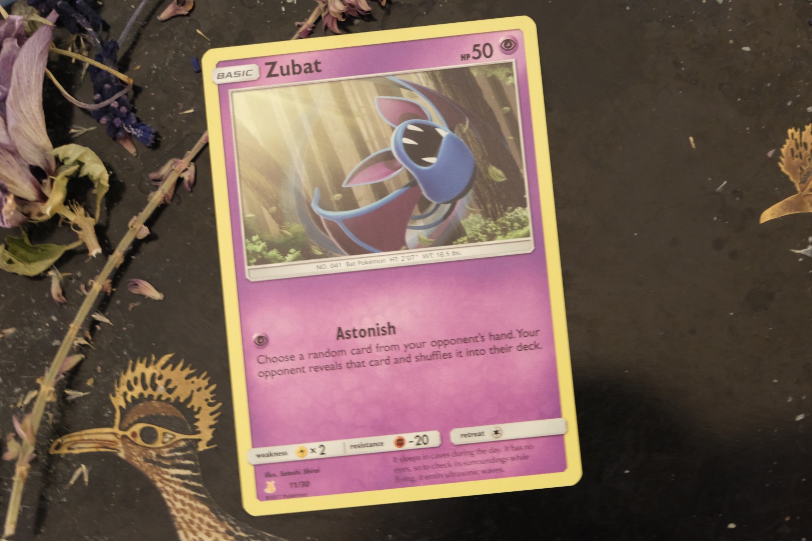 Zubat 11/30