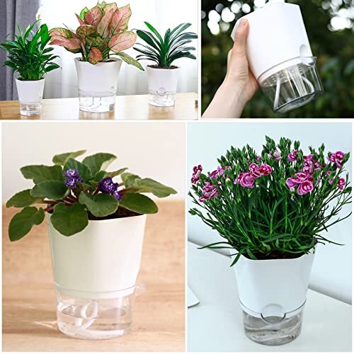 6 Pack Clear Plastic Self Watering African Violets Pots Flower Pot Planter