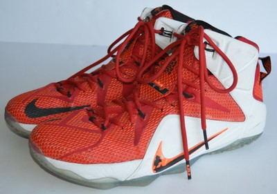 nike lebron james xii