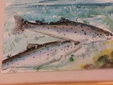 Original wildlife watercolour painting   sea trout"by colinstatter