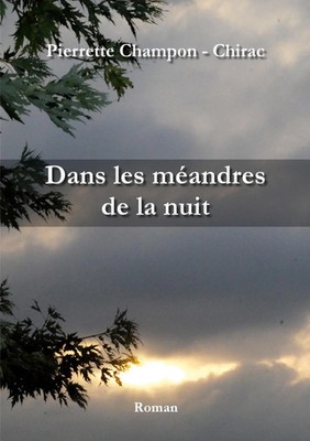 Pierrette Champon - Chirac | Dans les méandres de la nuit | Taschenbuch (2024)