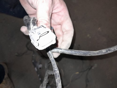 1992 Toyota Pickup Taillight Wiring Harness - Picture 5 of 9