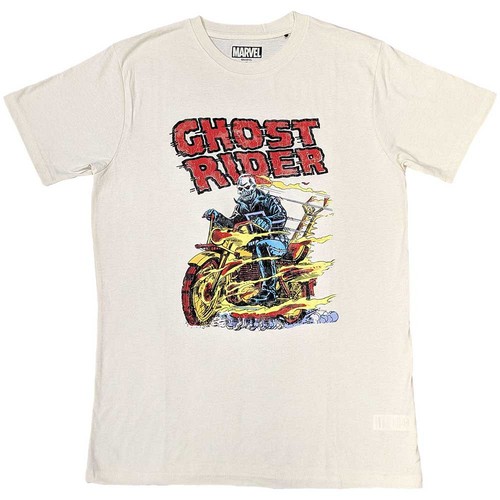 T-shirt Marvel Gris Taille M Homme/unisexe – Manches Courtes Col Rond