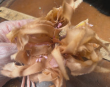 vintage millinery flowers apricot silk 3pcs made in Japan