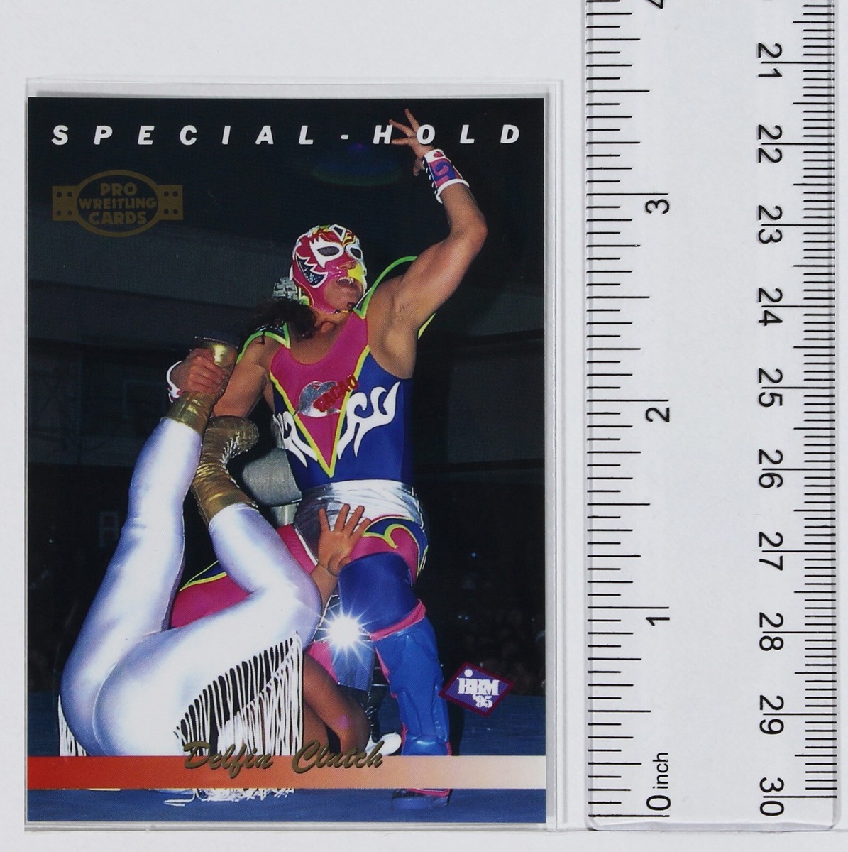 SUPER DELFIN No.202 - 1995 BBM Pro-Wrestling Trading Card | eBay