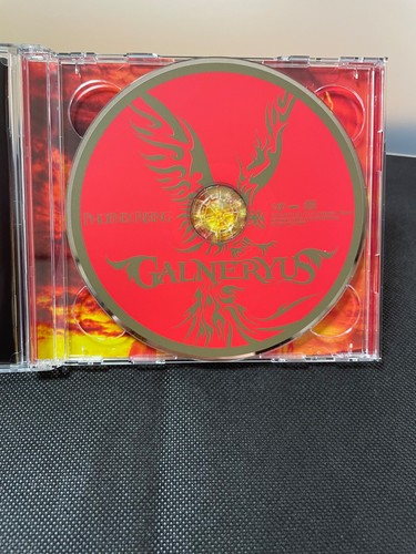 GALNERYUS PHOENIX RISING CD Album 1st limited edition 2disk Japanese Metal music - Imagen 7 de 12