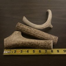 Large Elk/Deer Antler Premium Dog Chew 3-Pack