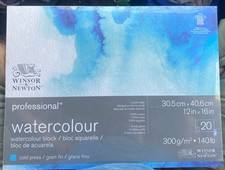 Winsor & Newton Professional Watercolor Paper Block 12" x 16" Cold Pressed
