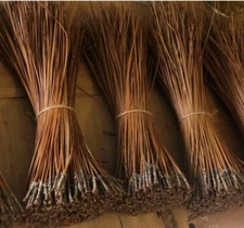 Long Leaf Pine Needles for Basket Making Basket Weaving Basketry 16oz per Bundle