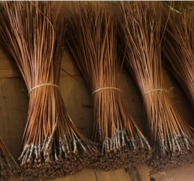 Long Leaf Pine Needles for Basket Making Basket Weaving Basketry 16oz per Bundle