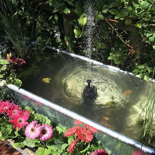 Solar Fountain With 6 Fountain Styles For Garden Bird Bath Pond Pool Fish Tank - Picture 2 of 10