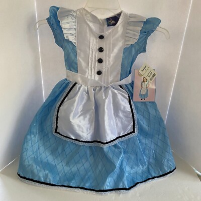 Cinderella Dream, Play, Imagine Costume- Girls size