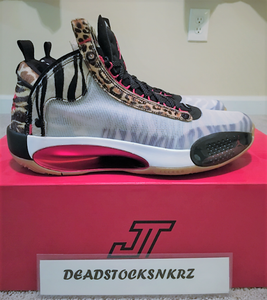 air jordan 34 size 12