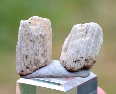 Stein Bimsschwamm 9 Gramm - Rochefort-Berg,Issoire,Puy-De-Dôme,Frankreich