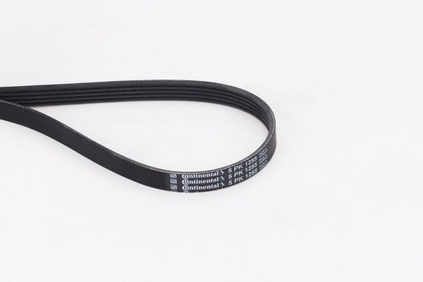 Continental Ctam 5PK1255 Keilrippenriemen FüR CitroËN Hyundai KIA-image