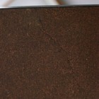 Picture 5 of 8