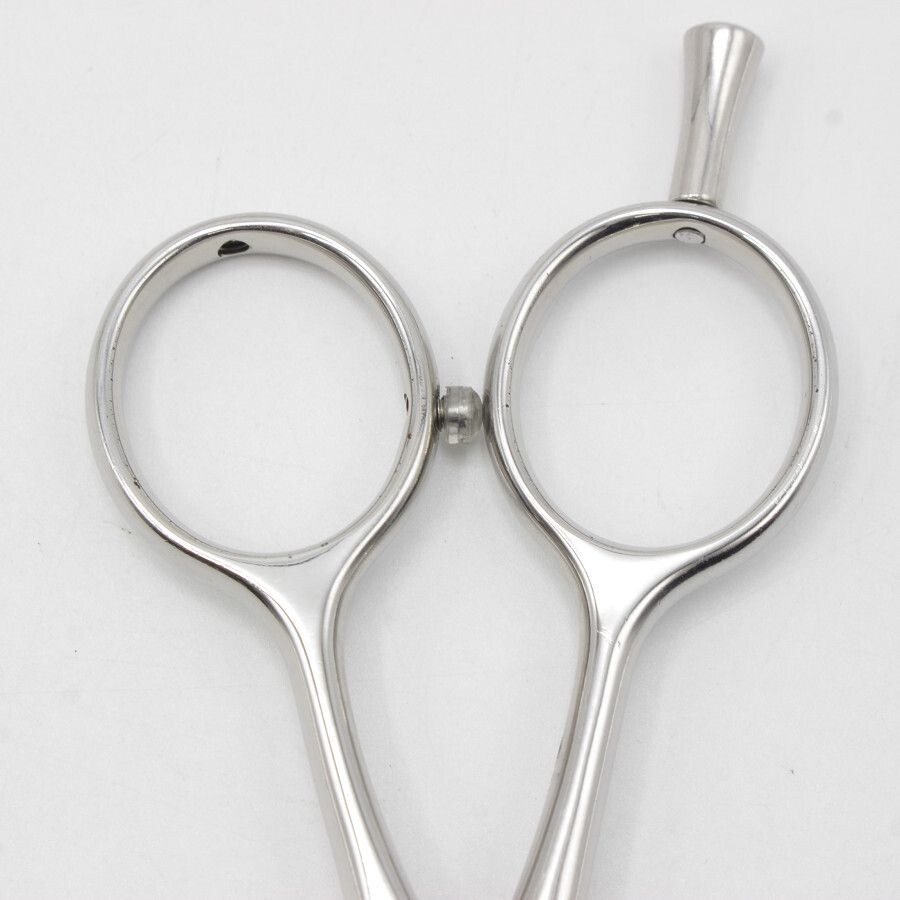 HAYASHI Scissors 5.5 in CURVE SCISSORS SORI V-SORI-M-5.5 Right