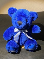 First and Main Rainbow Bear Blue Plush Stuffed