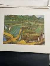 Original Watercolor “Rice Fields, Taiwan” Signed McMahon 15.5x11.5” Unframed