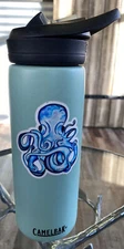 CamelBak Chute Mag Vacuum Insulated Stainless Steel Water Bottle 20 Oz Octopus